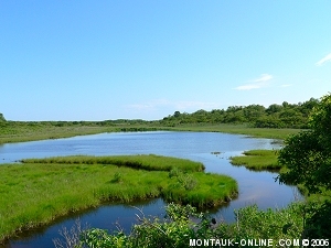 Little Reed Pond - Montauk, NY