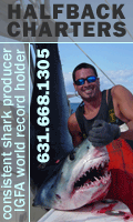 Halfback Charters - Consistent Shark Producers - 516-313-0784